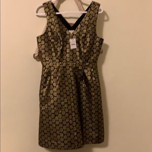 JCrew Gold Polka Dot Dress